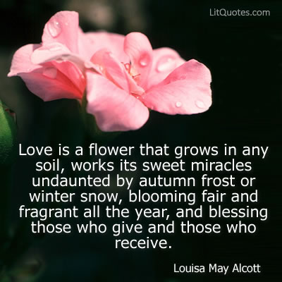 Love is a Flower | LitQuotes Blog