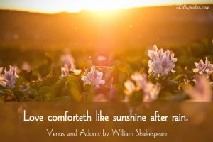 Love Comforteth Like Sunshine After Rain LitQuotes Blog